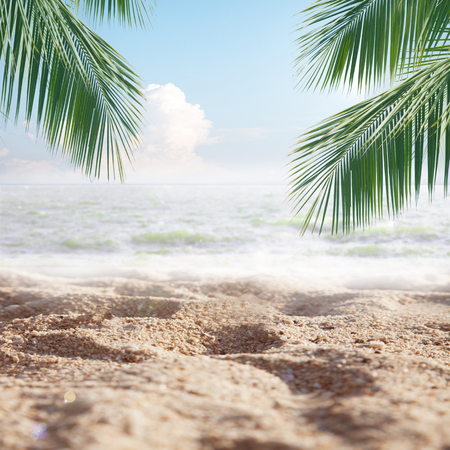 Hello summer , Tropical Sand beach with sea and coconut palm leaves in relaxation time. Happiness and relax on the beach during summer concept.の写真素材