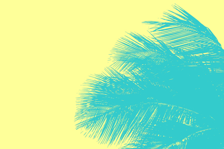 Hello summer floral with tropical leaves Concept. coconut palm leaves background, can be used for display or enter text and montage anything your .の写真素材