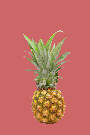 Pineapple isolated on Pink backgroundの写真素材