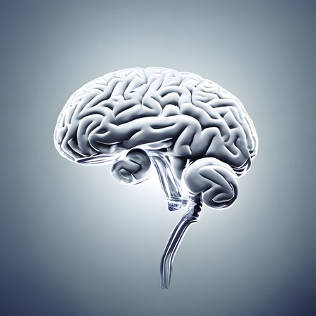 The transparent glass golden brain of super genius. golden brain concept. elegant, copy space, Generative AI, illustrationの素材