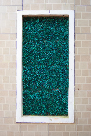 A window with green leaves inside