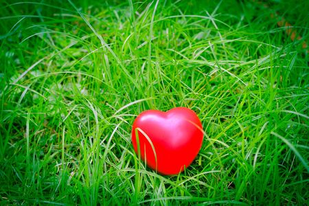red heart shape on grass, abstract background metaphor to lonely love or neglect the act of being uncared for. for Valentine's day season concept.の写真素材