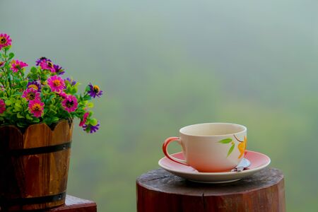 coffee cup and flower pot on the wooden deck.の写真素材