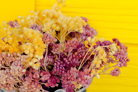 dry grass flower background,selected focusの写真素材