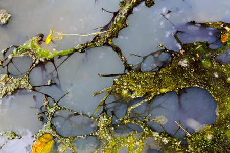 oil Slick and dirty water flow out of the sewer,pollution and environmental concernの写真素材