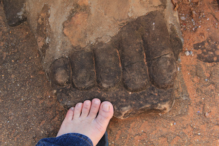 differnt between human foot and statueの写真素材