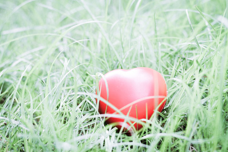 Red heart shape on grass, abstract background metaphor to lonely love or neglect the act of being uncared for. for Valentine's day season concept.の写真素材