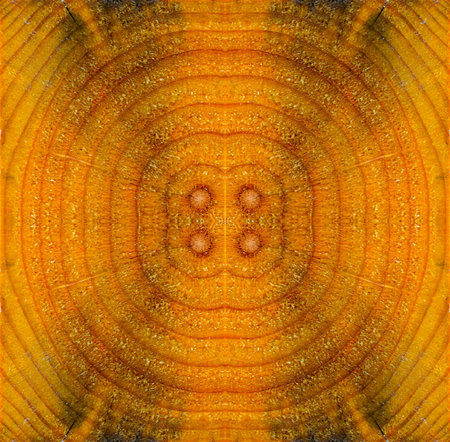 wood texture background