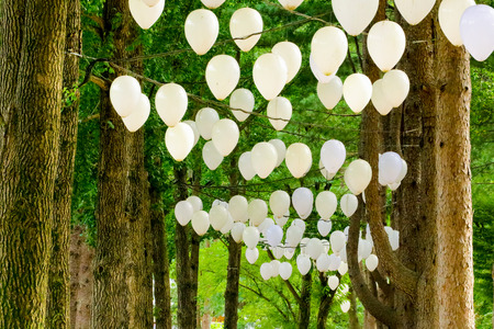 balloons hanging on tree in Namisum (Nami Island) , Chuncheon, South Koreaの写真素材