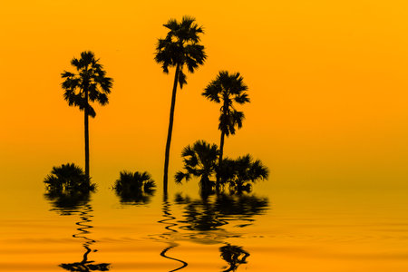 three palm trees reflected in the water. silhouette abstract background