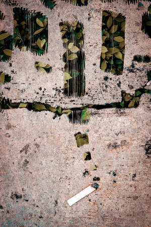 healthcare and environment concept : cigarette on concrete floor and green leaves backgroundの写真素材