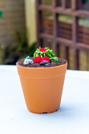 cakes shaped flower pot Cactusの写真素材