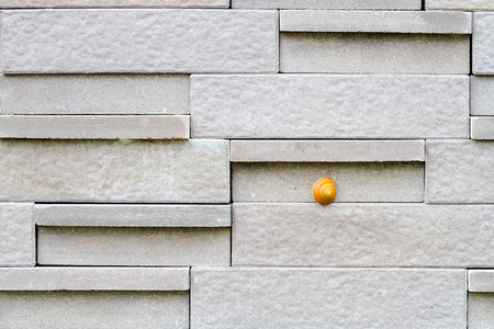 wall with the one of snailの写真素材