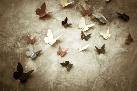 butterflies on the concrete wallの写真素材