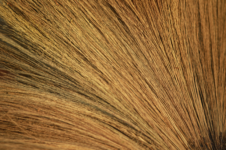 Close Up of thai grass broom background,
Texture of the bamboo grassの写真素材