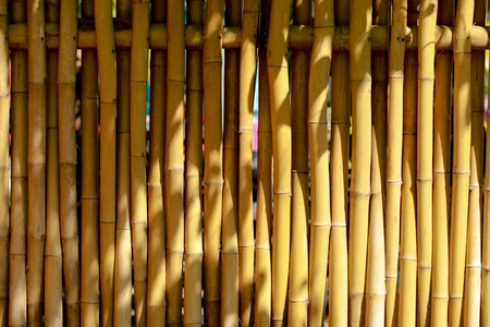 Bamboo wood wall for backgroundの写真素材