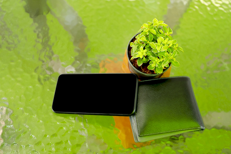 Mobile Phone money wallet and pots of green leave are on the glass tableの写真素材