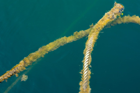 rope on the waterの写真素材