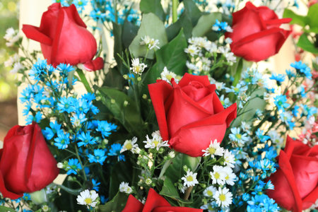 flowers bloom and rose for backgroundの写真素材