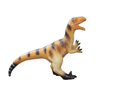 Dinosaur doll isolated on white background,This had clipping pathの写真素材