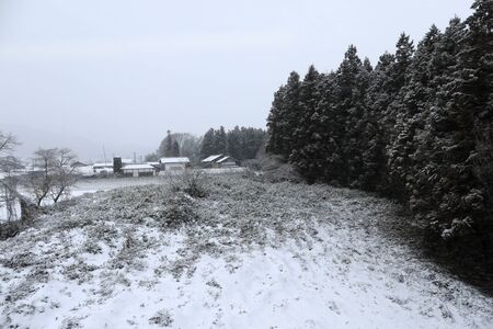 Road and heavy snow at japanの写真素材