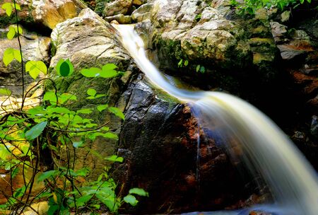 samui waterfall : tan rua waterfall at koh samui,surat thani province Thailandの写真素材
