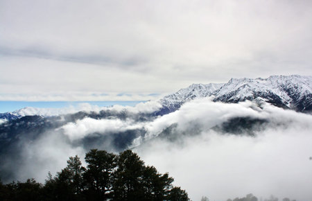 THE BEAUTY OF NATURE