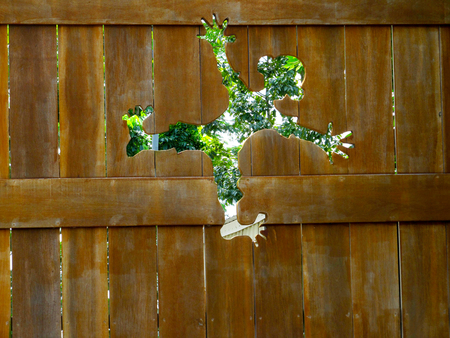 Fast and Funnyのeditorial素材