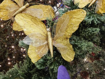 Christmas decoration butterflyの写真素材