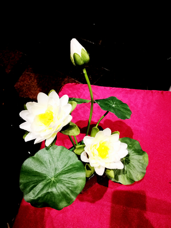 Flowers on the tableの写真素材