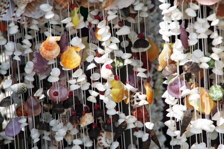 Stringed seashellの写真素材
