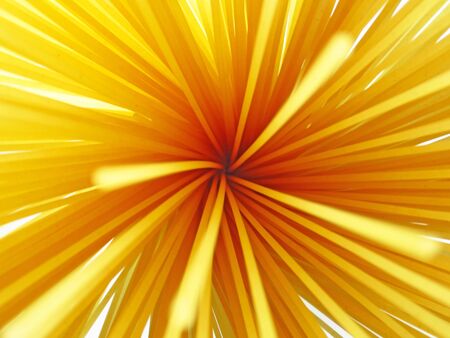 spaghettiの写真素材