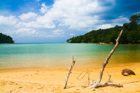 Lonely beach, phuket island , thailandの写真素材