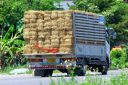 CHIANGMAI, THAILAND - OCTOBER 3 2014: Sb Furniture mini truck. Photo at road no 121 about 8 km from downtown Chiangmai, thailand.CHIANGMAI, THAILAND - OCTOBER 3 2014: Truck of Animal food (Grass). Photo at road no.121 about 8 km from downtown Chiangmai, tのeditorial素材