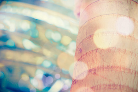 Retro Effect  Close up of Palm  treeの写真素材