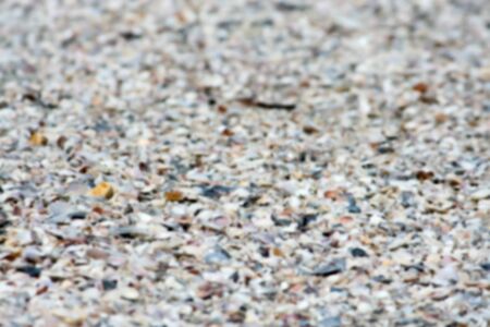 Blur Shells on the beachの写真素材