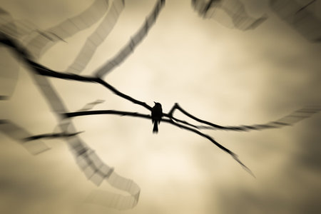 Bird on tree in sunset timeの写真素材