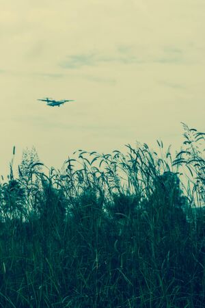 Airplane landing Background shot and Green Grass Flower Front Groundの写真素材
