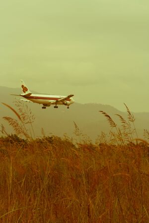 Airplane landing Background shot and Green Grass Flower Front Groundのeditorial素材