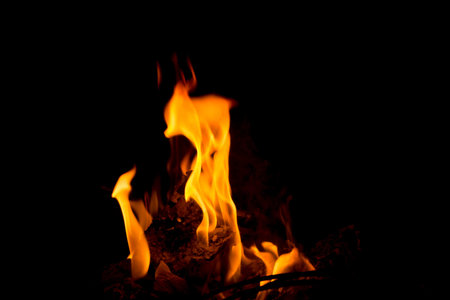 firewood burning on black background