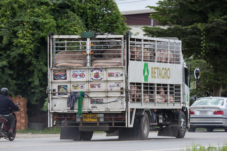 Chiangmai, Thailand - August  7 2018:  Pig Animal cage container truck of Betagro Company. On road no.1001, 8 km from Chiangmai Business Area.のeditorial素材