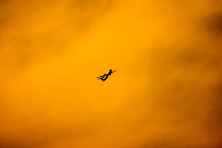 Aircraft Passenger take off  shot at sunset time background