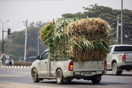 Chiangmai, Thailand - April 9 2019: Private Toyota Hilux Vigo  Pickup Truck.  On road no.1001 8 km...