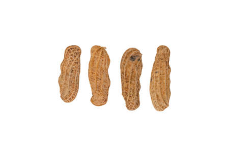 Set boiled peanuts, peeled and seeded on isolated.の写真素材