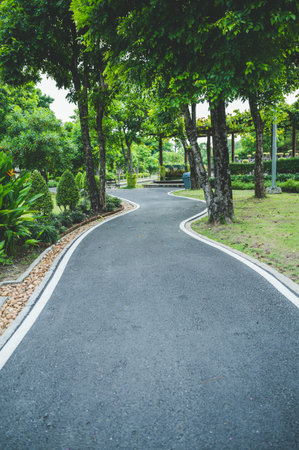 Road in the park overcast sky period