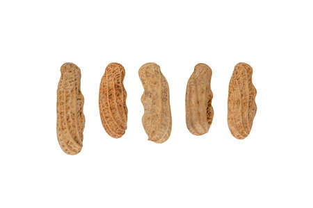 Set boiled peanuts, peeled and seeded on isolated.の写真素材