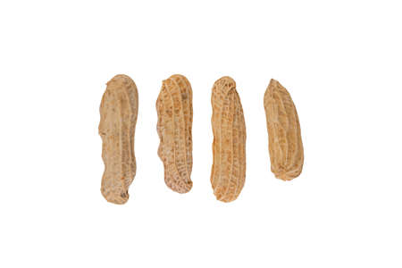 Set boiled peanuts, peeled and seeded on isolated.の写真素材