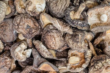 Closeup group of dried mushroom backgroundの写真素材