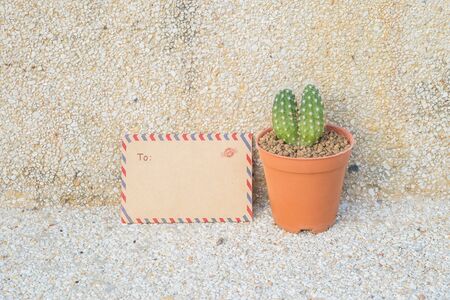 Closeup brown envelop and cactus in brown pot on blurred stone floor and wall texture backgroundの写真素材