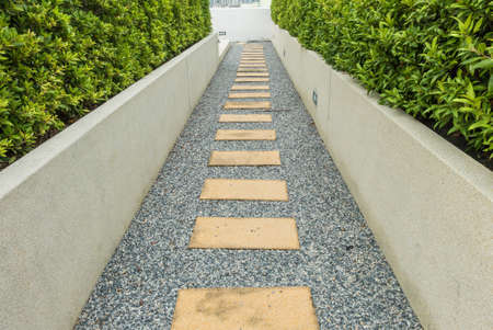 Beautiful stone pathway in the gardenの写真素材